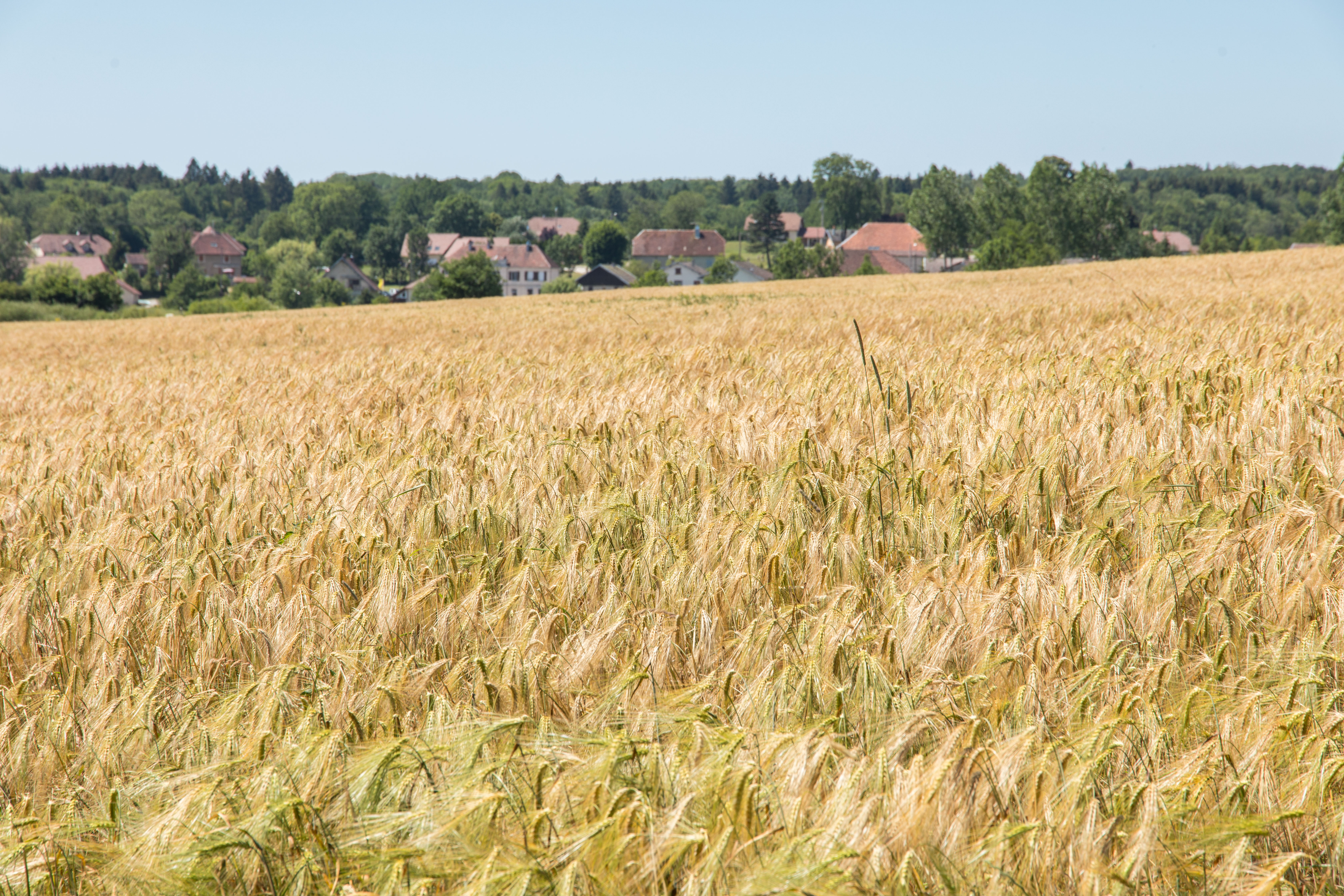 Www.centre-valdeloire.fr Titulaire Du Nom De Domaine